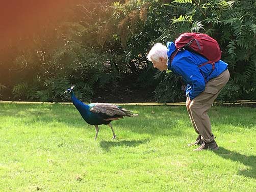 Author Lee Juillerat with a peacock